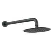 ABS Shower Head With Arm