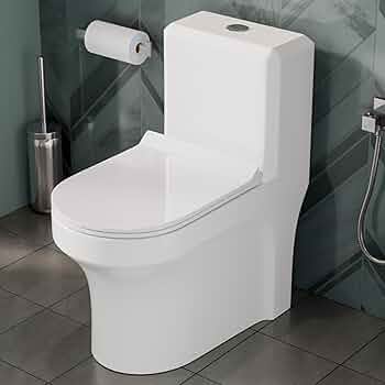 One Piece Water Closet – Frencia BG01