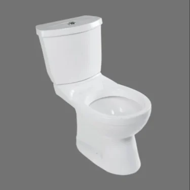 Two Piece Toilet
