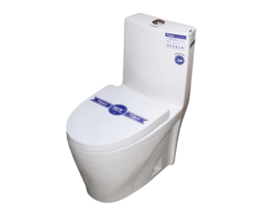 Wedge Shaped Toilet